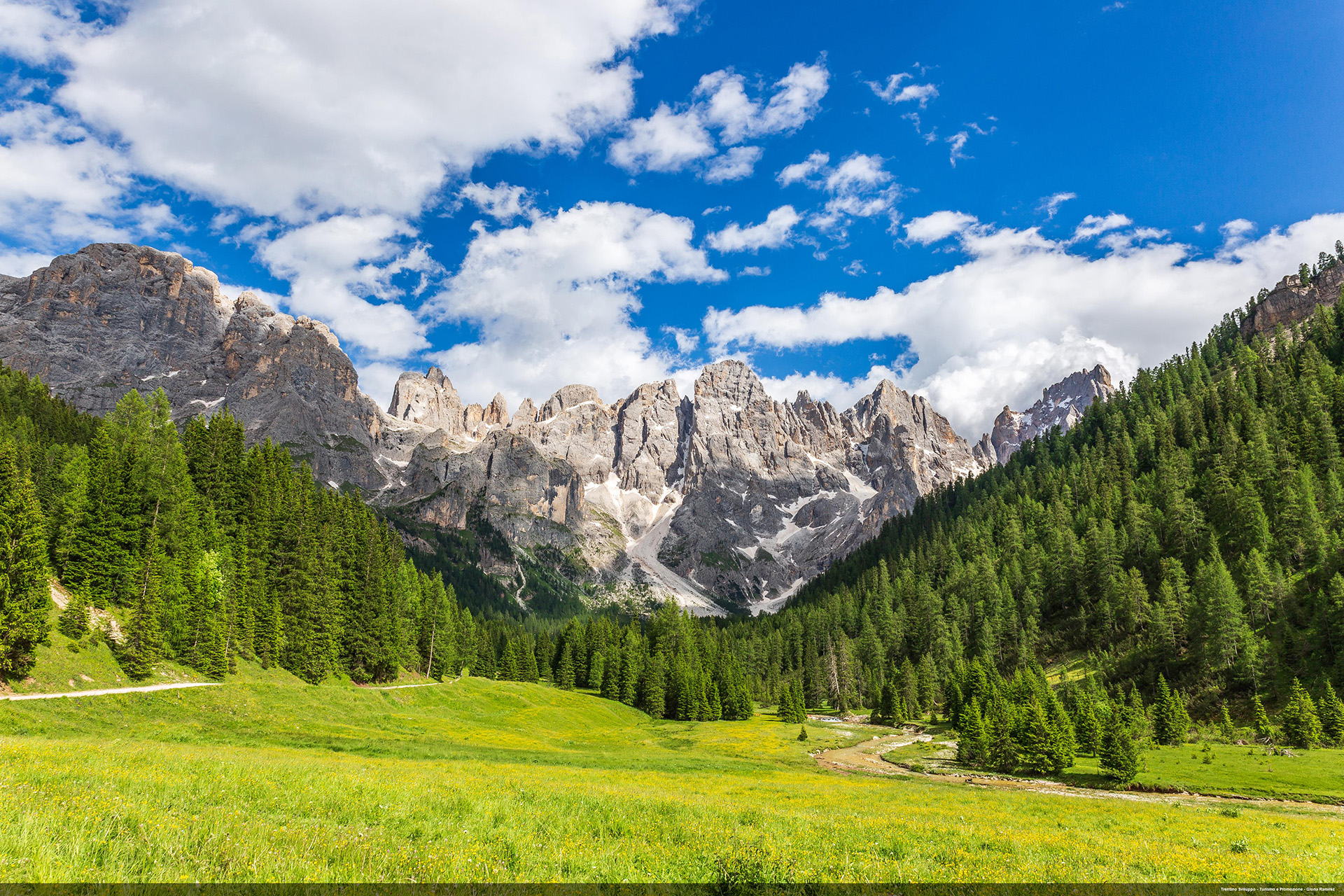 Grifone del Tesino estate ©martalarscultore ©comitatoamicidelgrifone