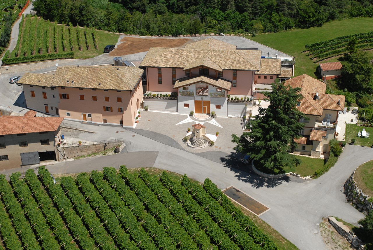 Moser Maso Villa Warth vista aerea