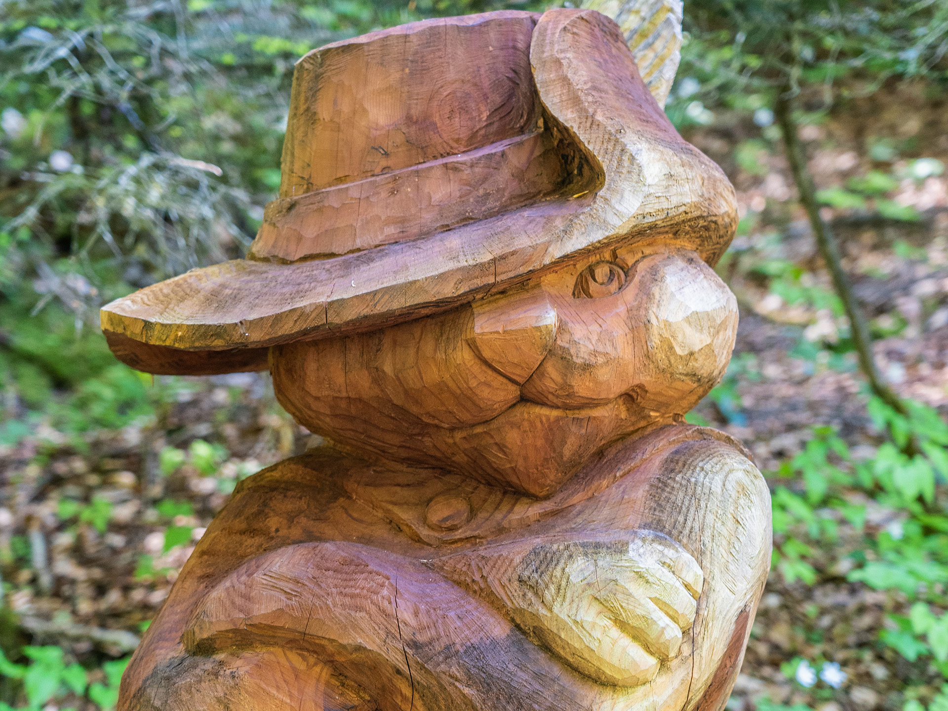 Fiabe Nel Bosco per i più piccoli