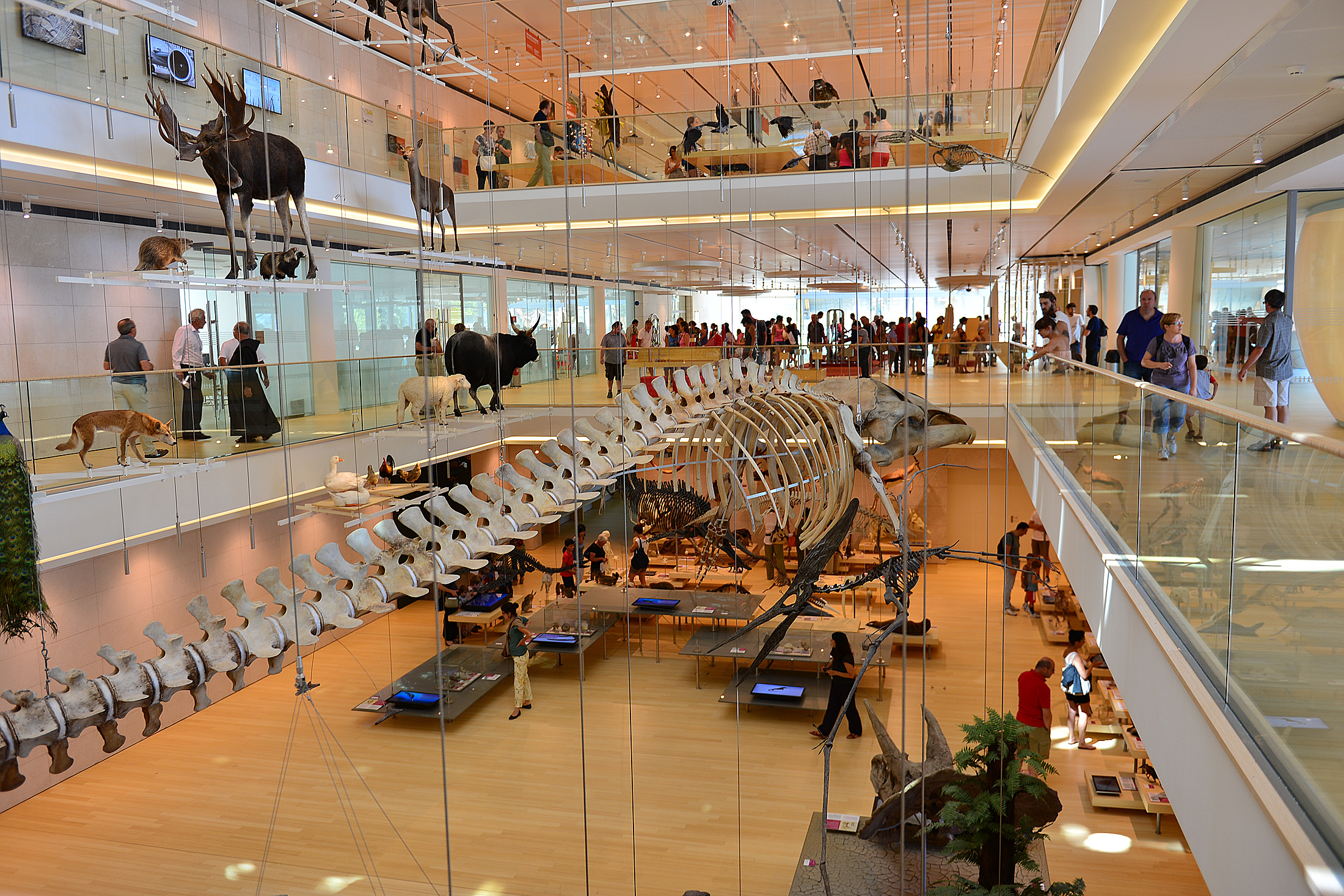 Muse Trento museo della scienza