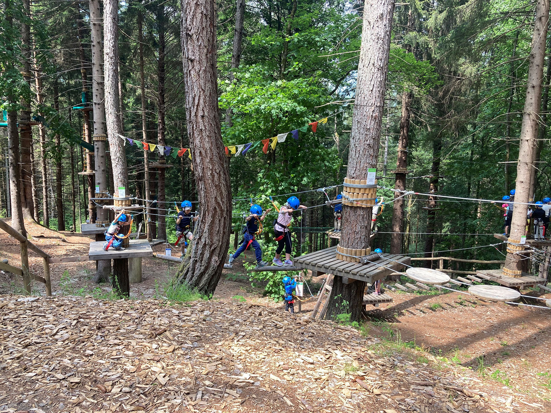 Il percorso di parco Avventura Tesino