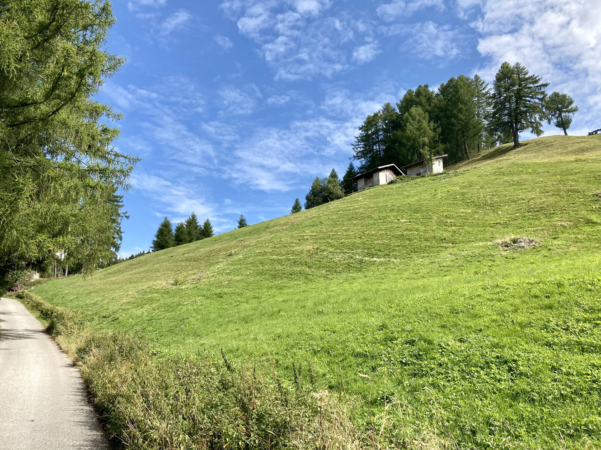 Passeggiate trekking