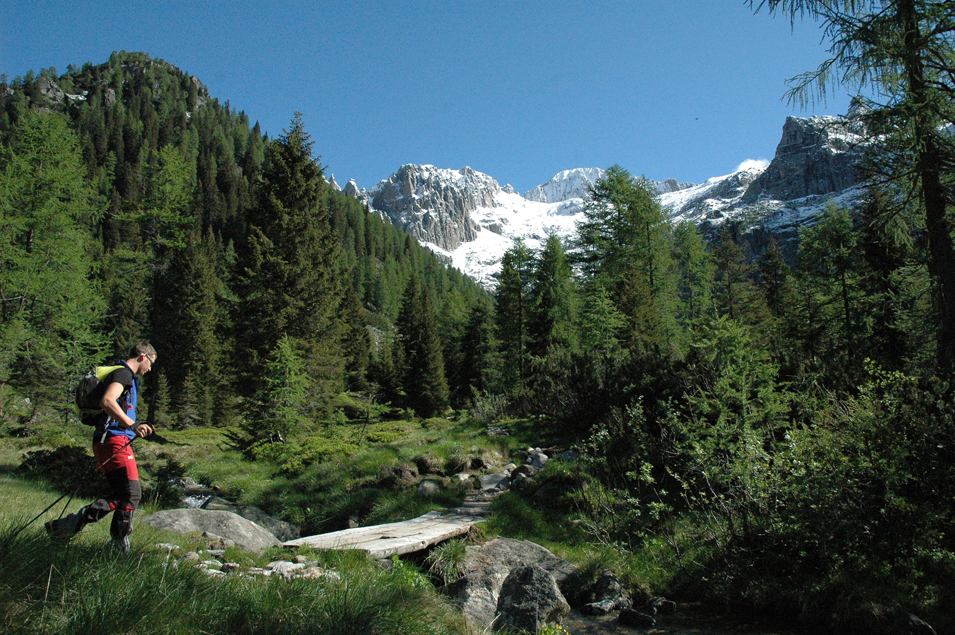 passeggiate e trekking Cima Dasta