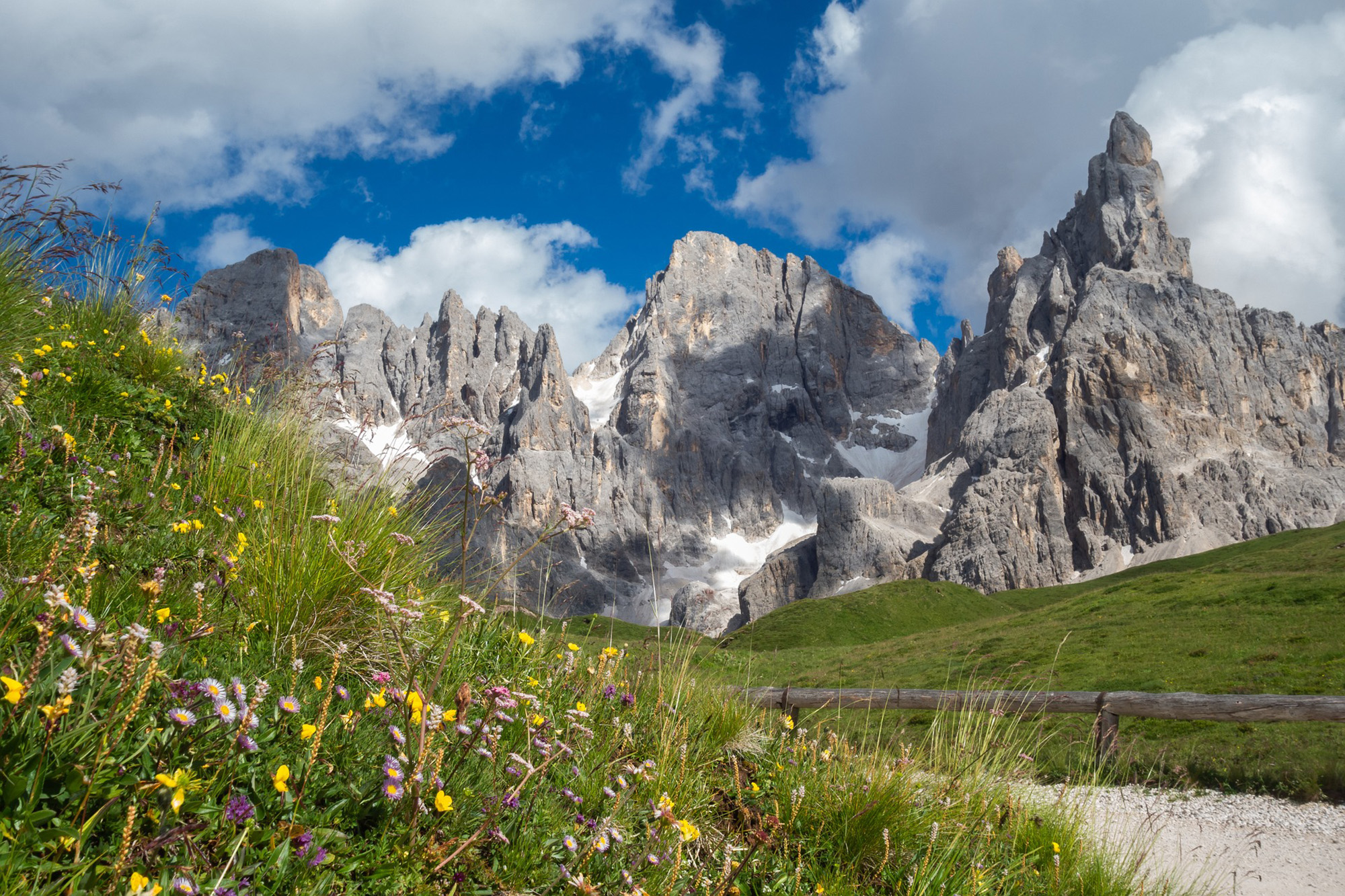 Pale di San Martino in montagna